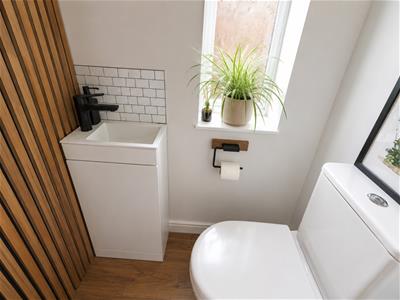 Picture 5